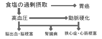 摂取 塩分 過剰